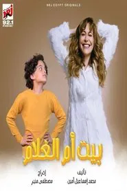 Poster da série The boy's mother's house