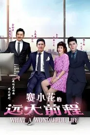 What a Wonderful Life tv show poster