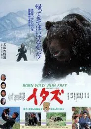 The Forest of the Little Bear movie poster