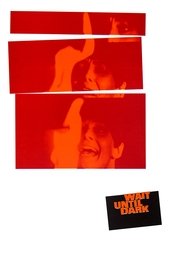 Wait Until Dark movie poster