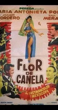 Poster do filme Flor de canela