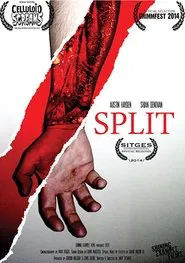 Split movie poster