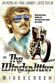 The Windsplitter movie poster