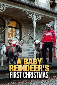 A Baby Reindeer's First Christmas movie poster