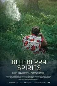 Blueberry Spirits movie poster