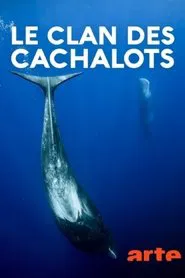 Le clan des cachalots movie poster