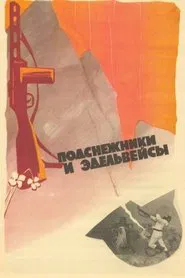 Snowdrops and Edelweiss movie poster