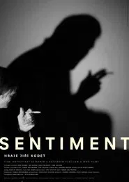 Sentiment movie poster
