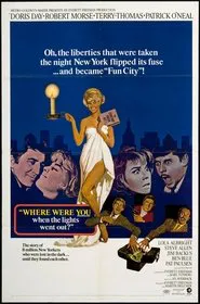 Where Were You When the Lights Went Out? movie poster