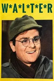 Walter tv show poster