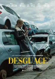 Poster do filme Desguace