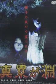 Shin Kasanegabuchi movie poster