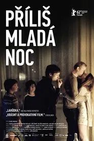 Poster do filme A Night Too Young