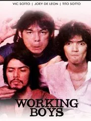 Poster do filme Working Boys