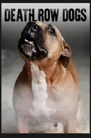 Death Row Dogs movie poster