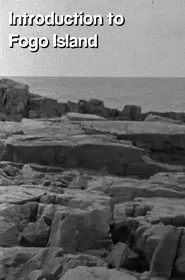 Introduction to Fogo Island movie poster
