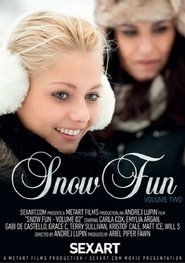 Poster do filme Snow Fun 2