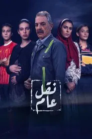 Public Transport tv show poster