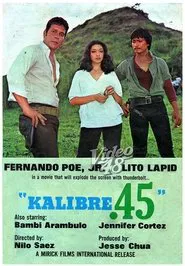 Poster do filme Kalibre .45