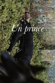 Poster do filme A Prince