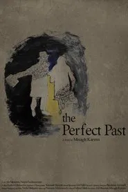 The Perfect Past movie poster