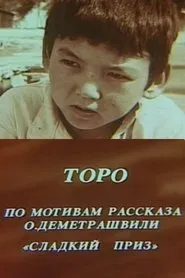 Toro movie poster