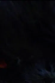 The Butterfly movie poster