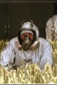 Poster da série Fields of Gold