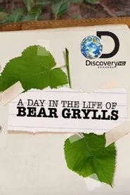 A Day in the Life of Bear Grylls movie poster