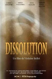 Dissolution movie poster