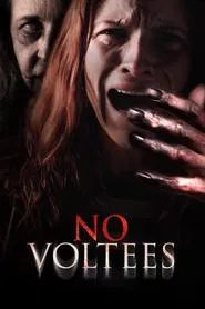 Poster do filme No Voltees