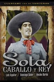 Sota, caballo y rey movie poster