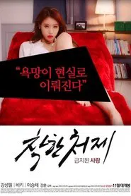 Nice Sister-In-Law movie poster