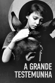 Poster do filme A Grande Testemunha