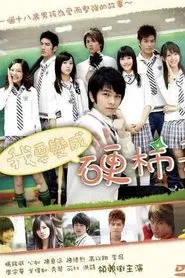 I Want to Become a Hard Persimmon tv show poster