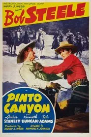 Pinto Canyon movie poster
