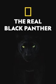 The Real Black Panther movie poster