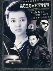 Poster da série 钻石王老五的艰难爱情