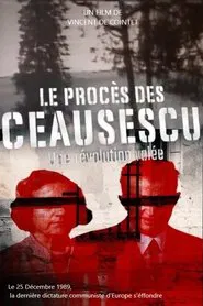 The Ceausescu Trial: A Stolen Revolution movie poster
