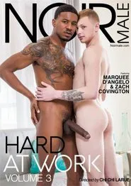 Hard At Work 3 movie poster