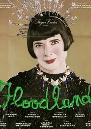 Poster do filme Floodland