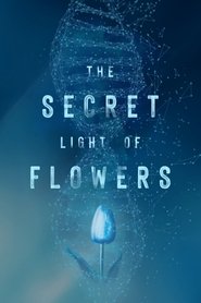 The Secret Light of Flowers movie poster