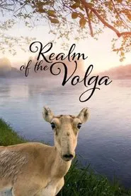 Realm of the Volga tv show poster
