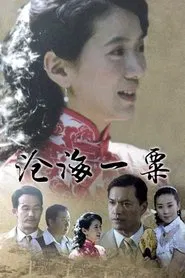 沧海一粟 tv show poster