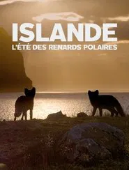 Islande, l’été Des Renards Polaires movie poster