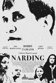 Narding movie poster