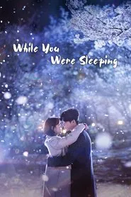 While You Were Sleeping tv show poster