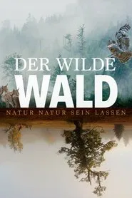 Poster do filme The Wild Forest