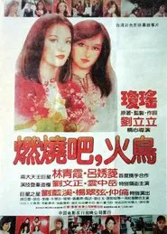 Burn Phoenix Burn movie poster