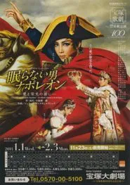 Napoléon, the Man Who Never Sleeps ~At the End of His Love and Glory~ movie poster